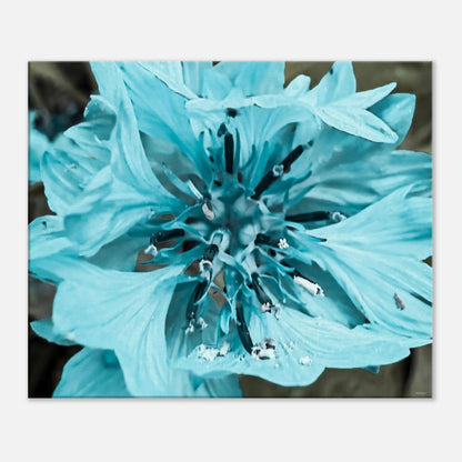 035fc8b3-bb81-4b2c-bbad-e4ab7226de26