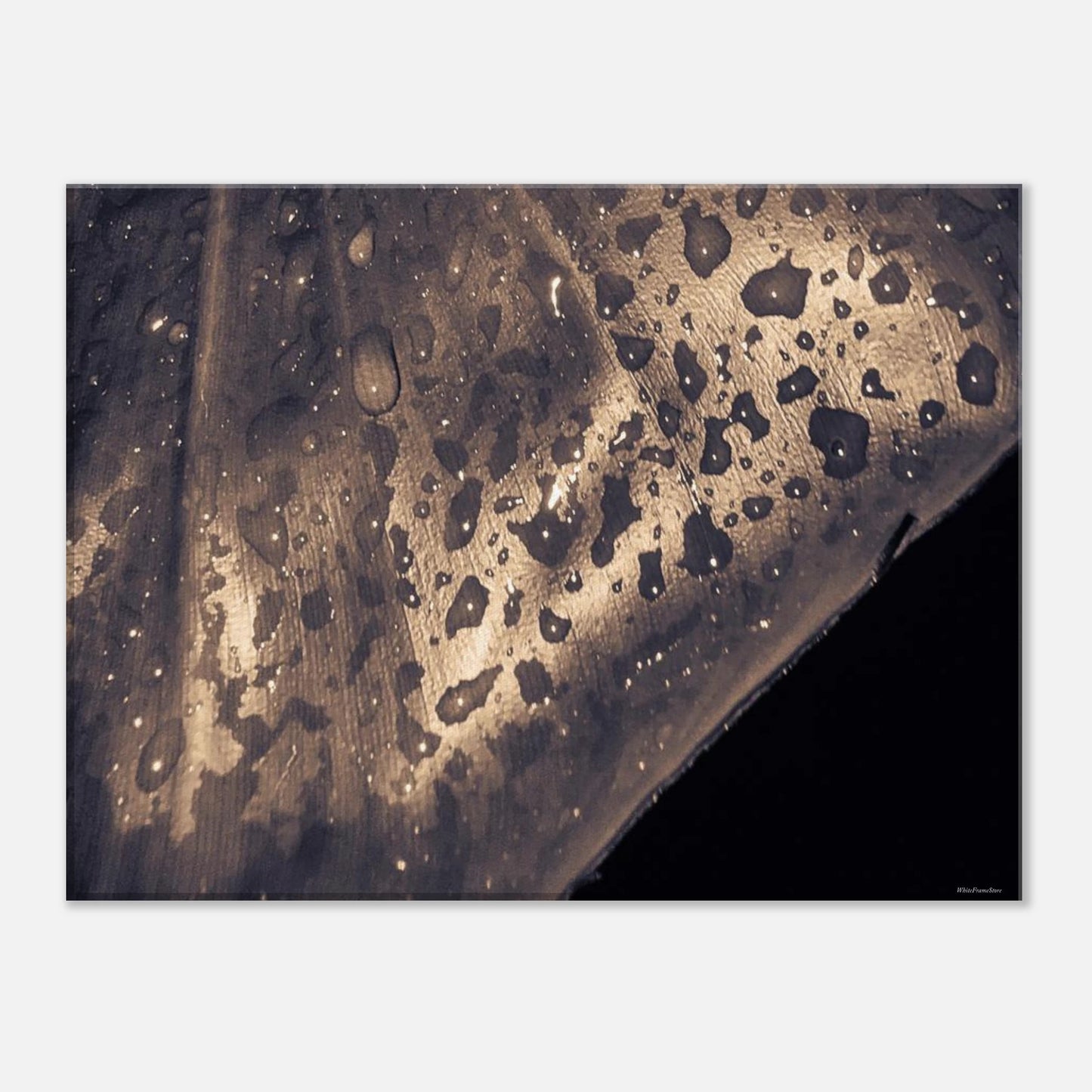 03684df6-d01b-4bb8-87bd-49132598cd5a