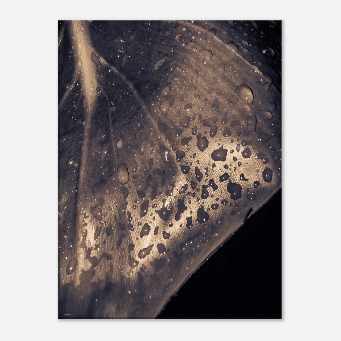 038bdb47-53d1-468d-a884-7b29bd67f3fd