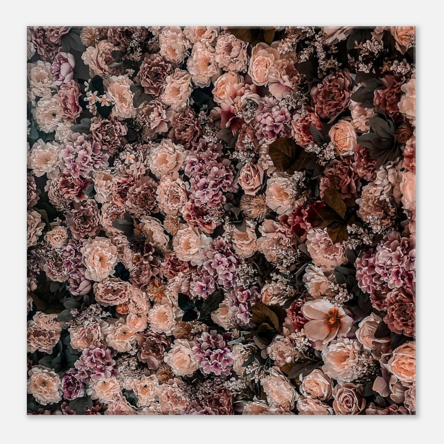 03c9bfbe-9d4c-49ad-ae08-4941171882d8