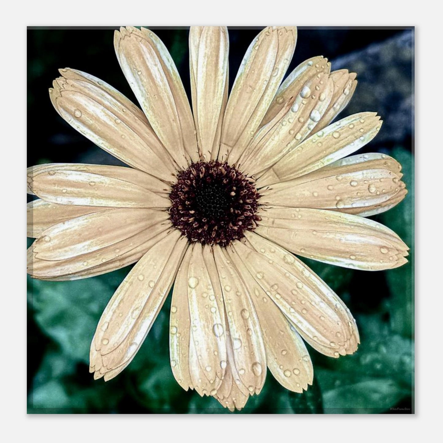 04052829-4183-4e8f-8962-9606fcf16646