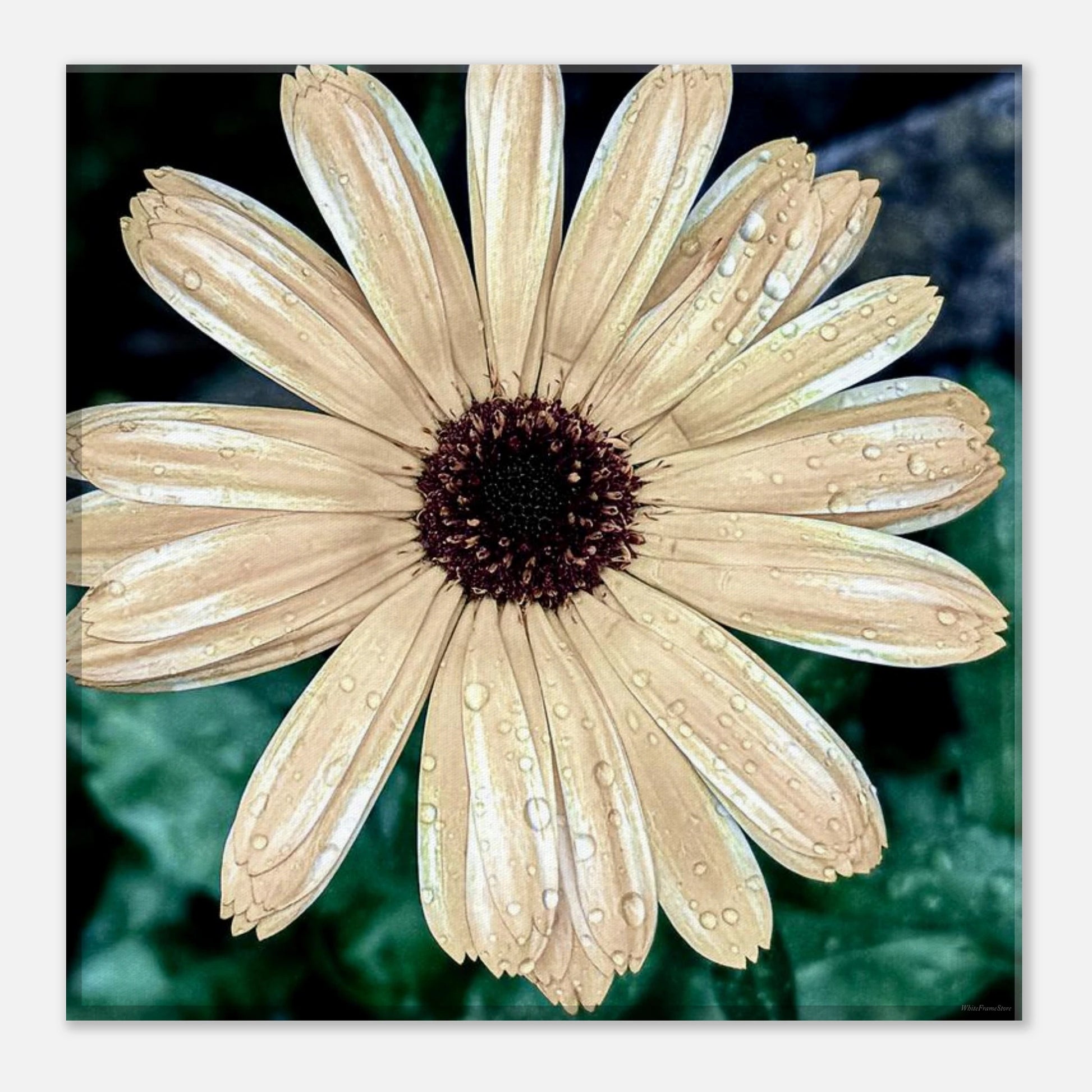 04052829-4183-4e8f-8962-9606fcf16646