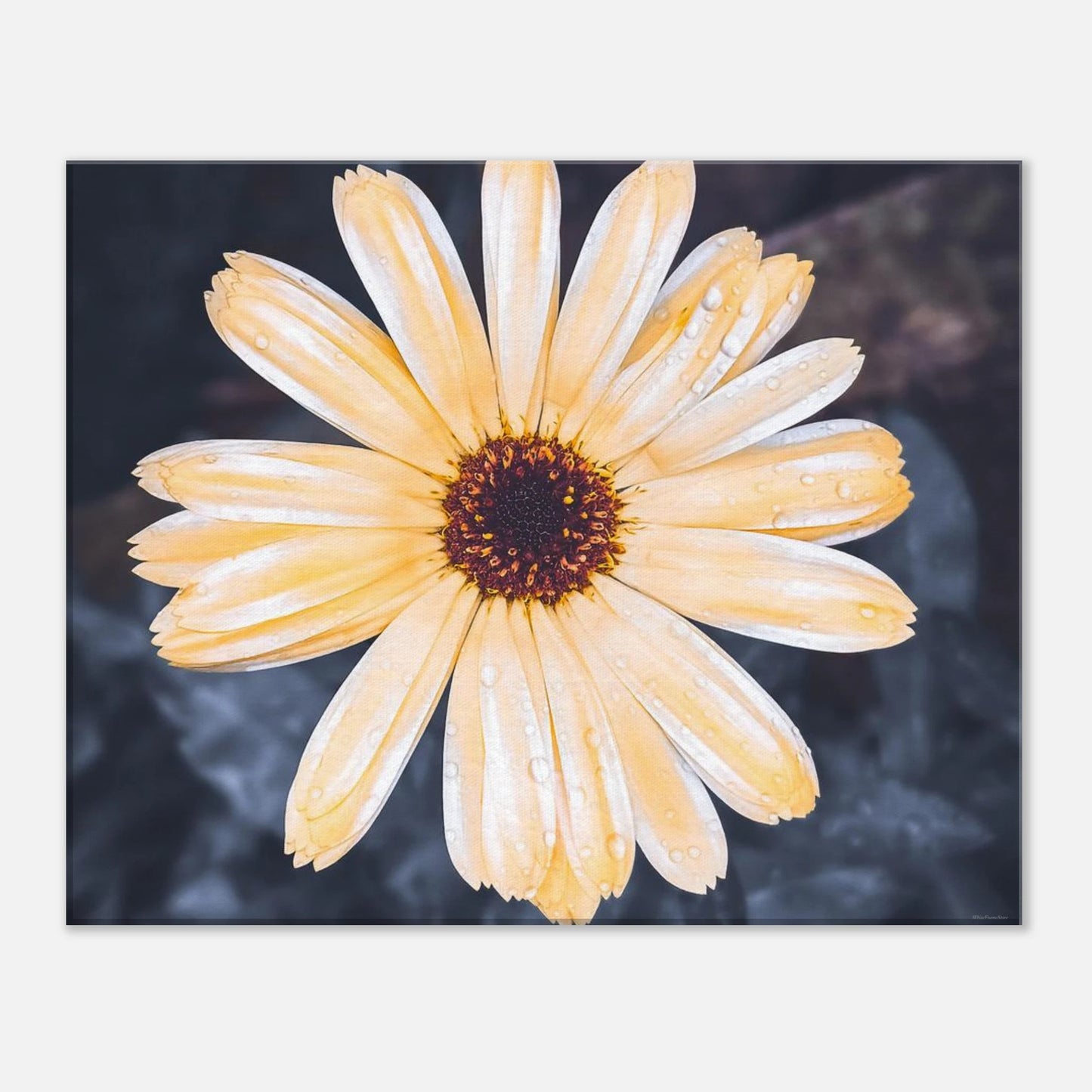 041448b7-7eea-44f2-9762-628110ef5a55