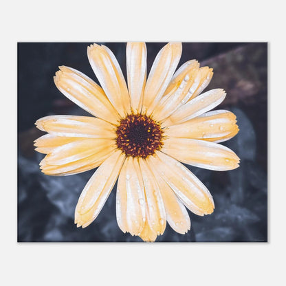 041448b7-7eea-44f2-9762-628110ef5a55