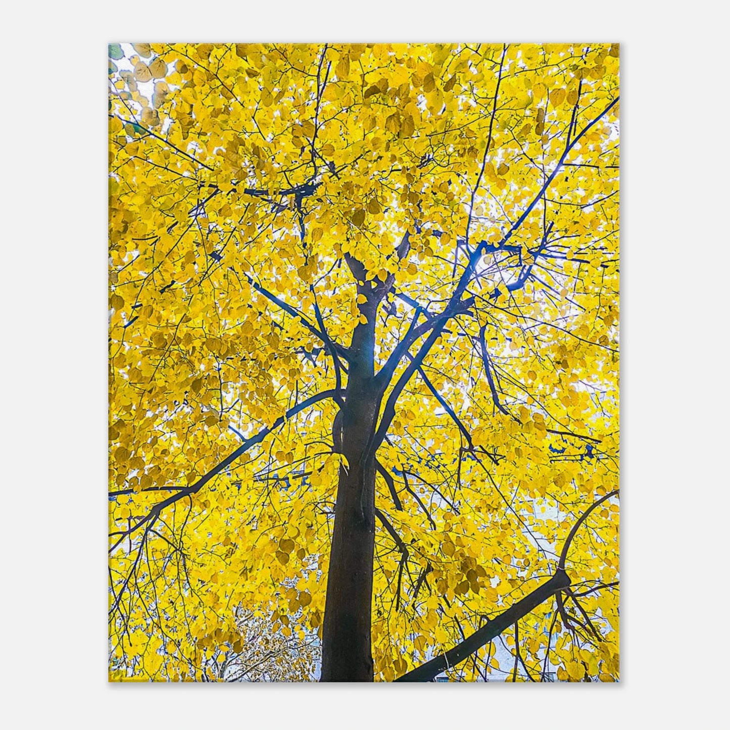 04164113-d463-44a9-9c98-b67f450e953e