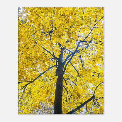 04164113-d463-44a9-9c98-b67f450e953e