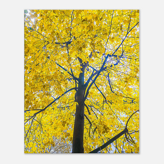 04164113-d463-44a9-9c98-b67f450e953e