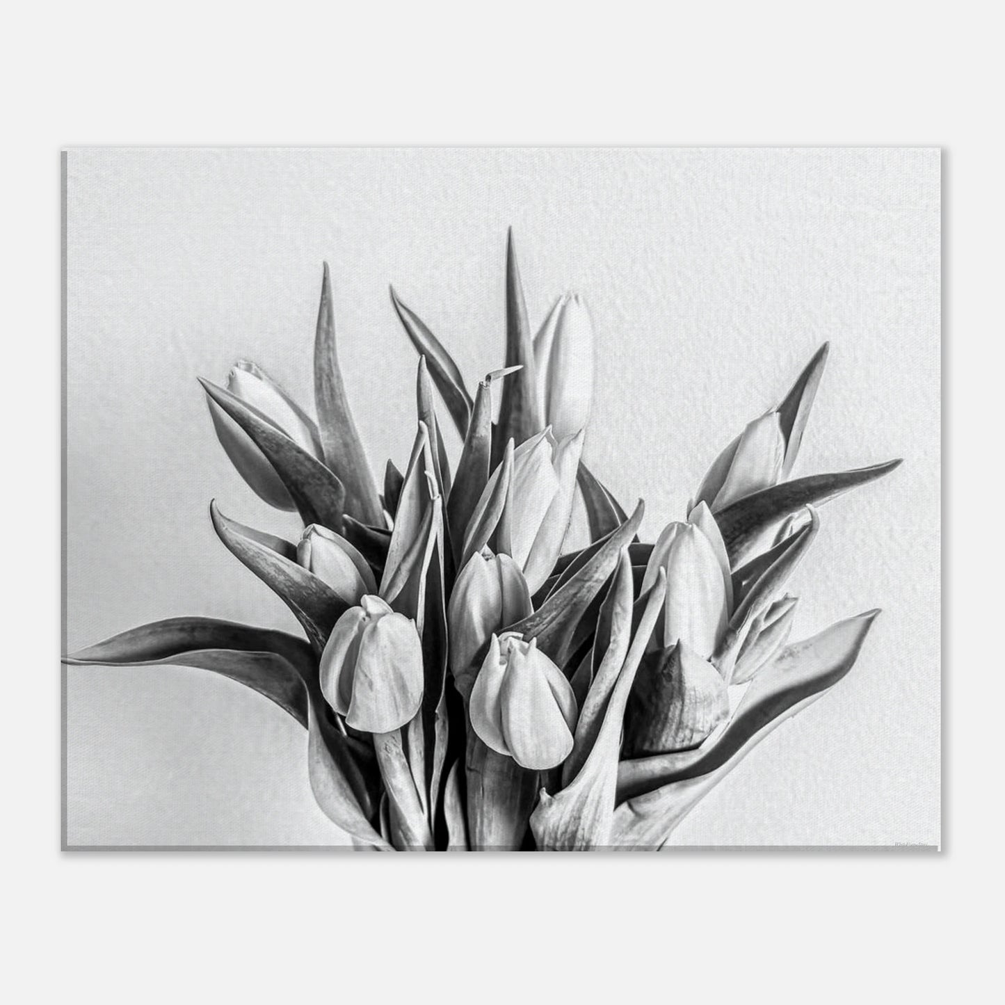 0437d95e-0aff-4095-8919-8502a3d7759d