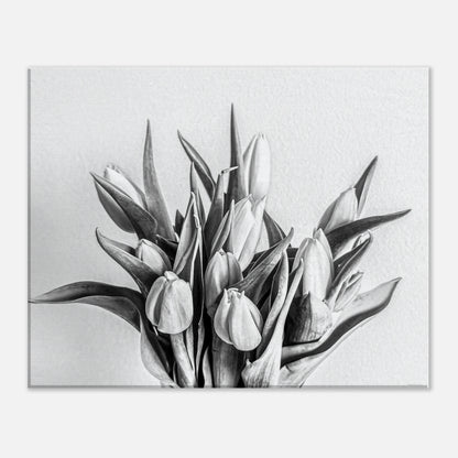 0437d95e-0aff-4095-8919-8502a3d7759d