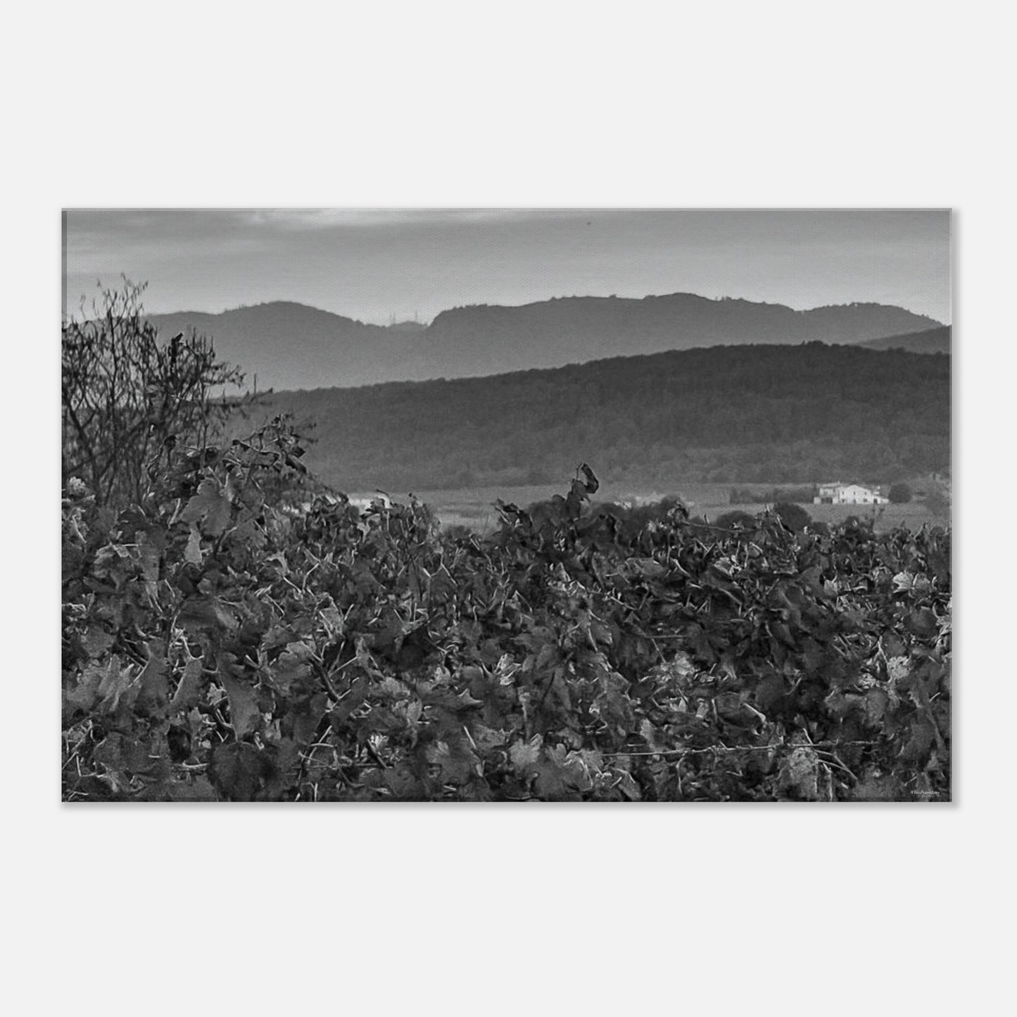 04486c2d-6f62-4504-ae92-a889d812fbd1