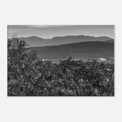 04486c2d-6f62-4504-ae92-a889d812fbd1