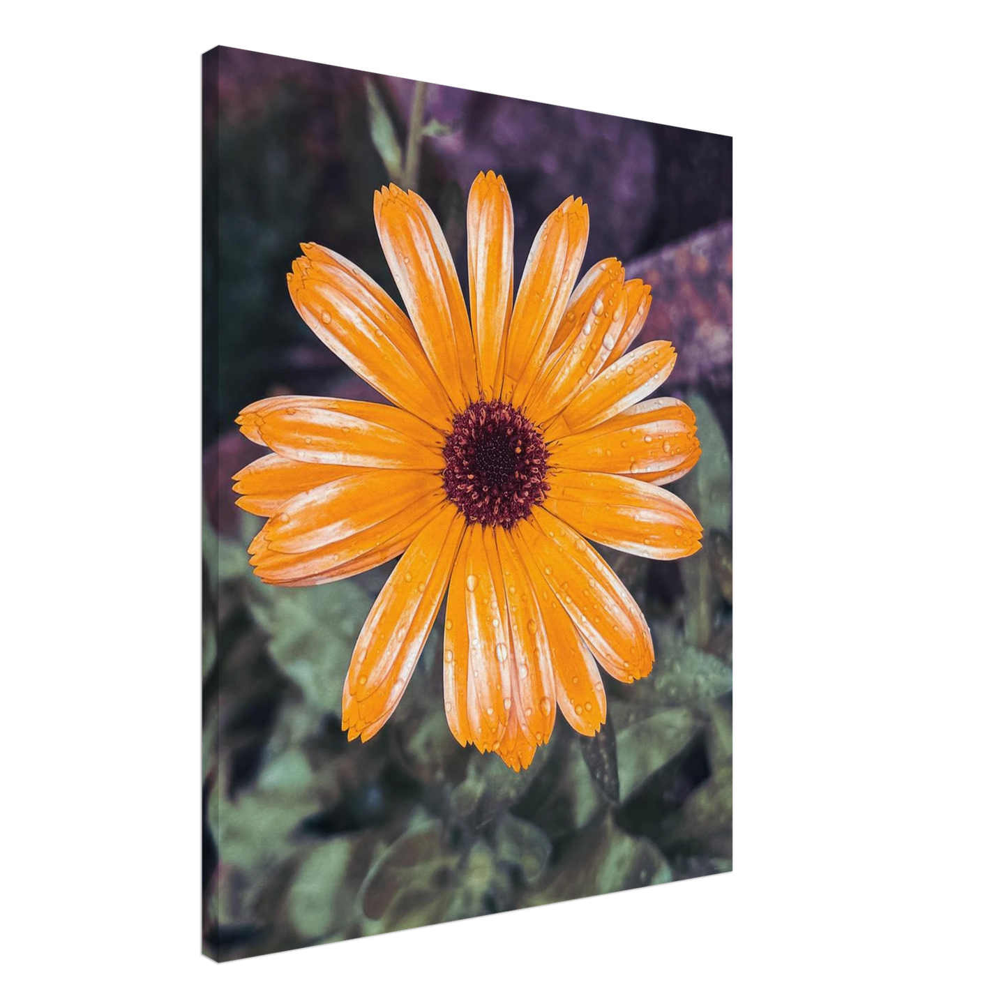 0450c950-2911-423b-be41-7f00bdc67774