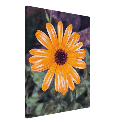 0450c950-2911-423b-be41-7f00bdc67774