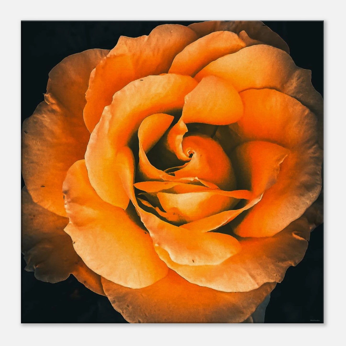 047f3375-a0dc-441f-8716-77338f8c7b1e