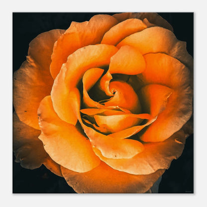 047f3375-a0dc-441f-8716-77338f8c7b1e