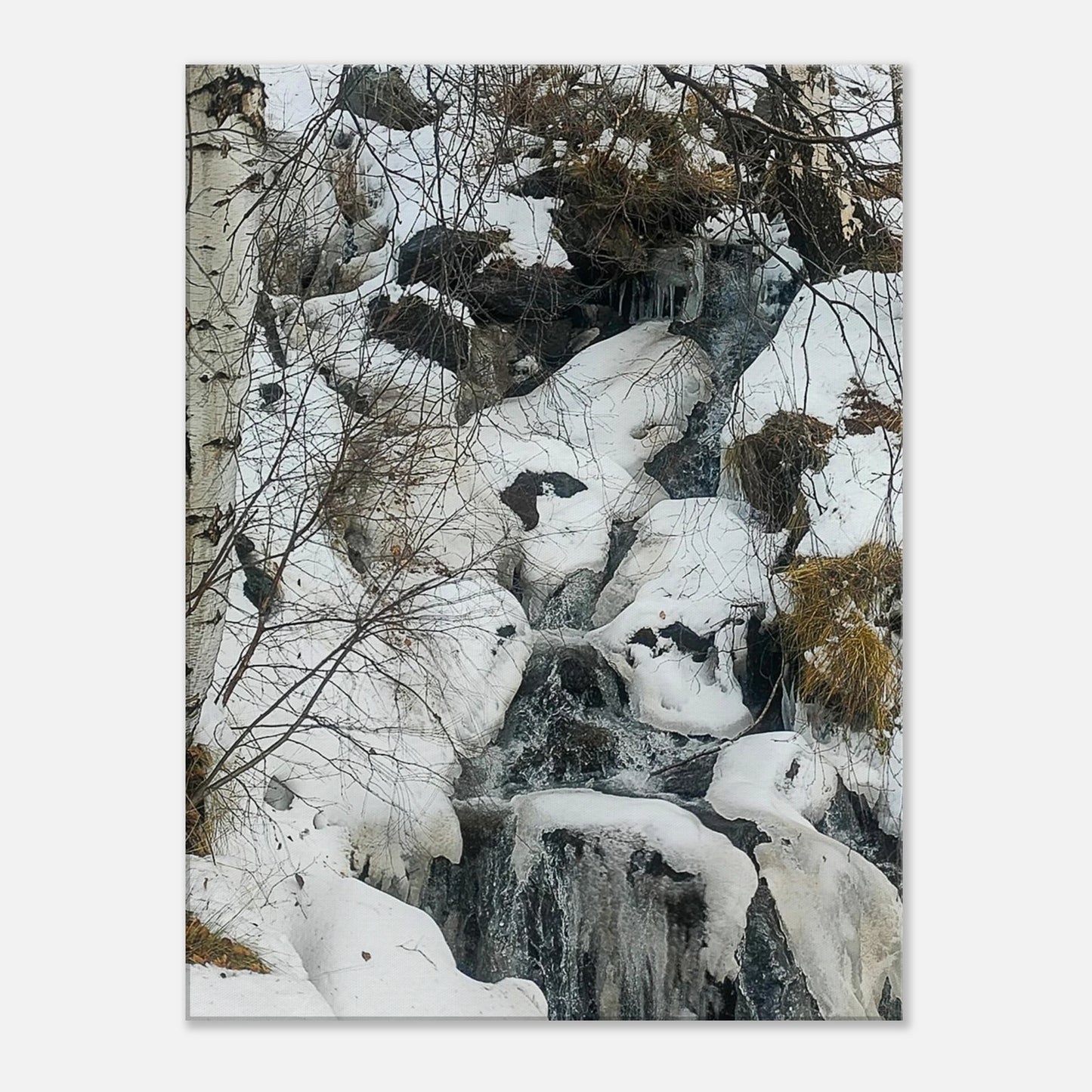 04be0ff0-892a-4fad-956f-7020a10b6dcf