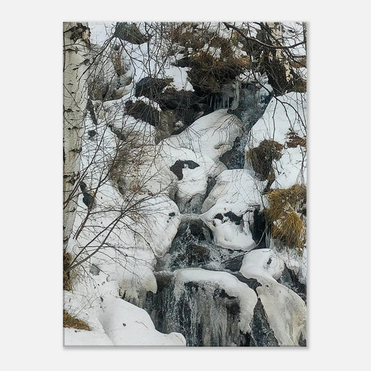 04be0ff0-892a-4fad-956f-7020a10b6dcf