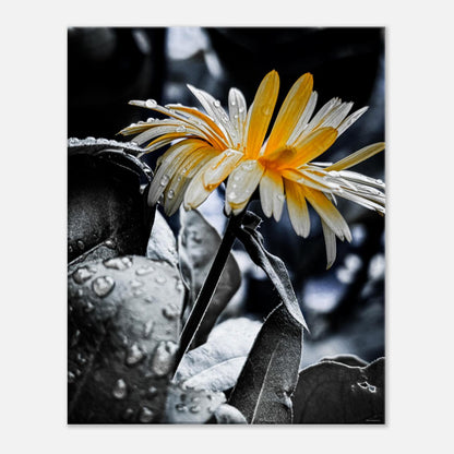 04d117f0-17ea-4e54-ab57-2df6ef43957b