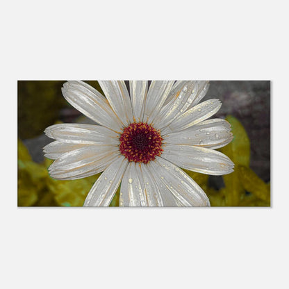 0512f1cc-6a94-48e0-891f-78be2aaf27c4