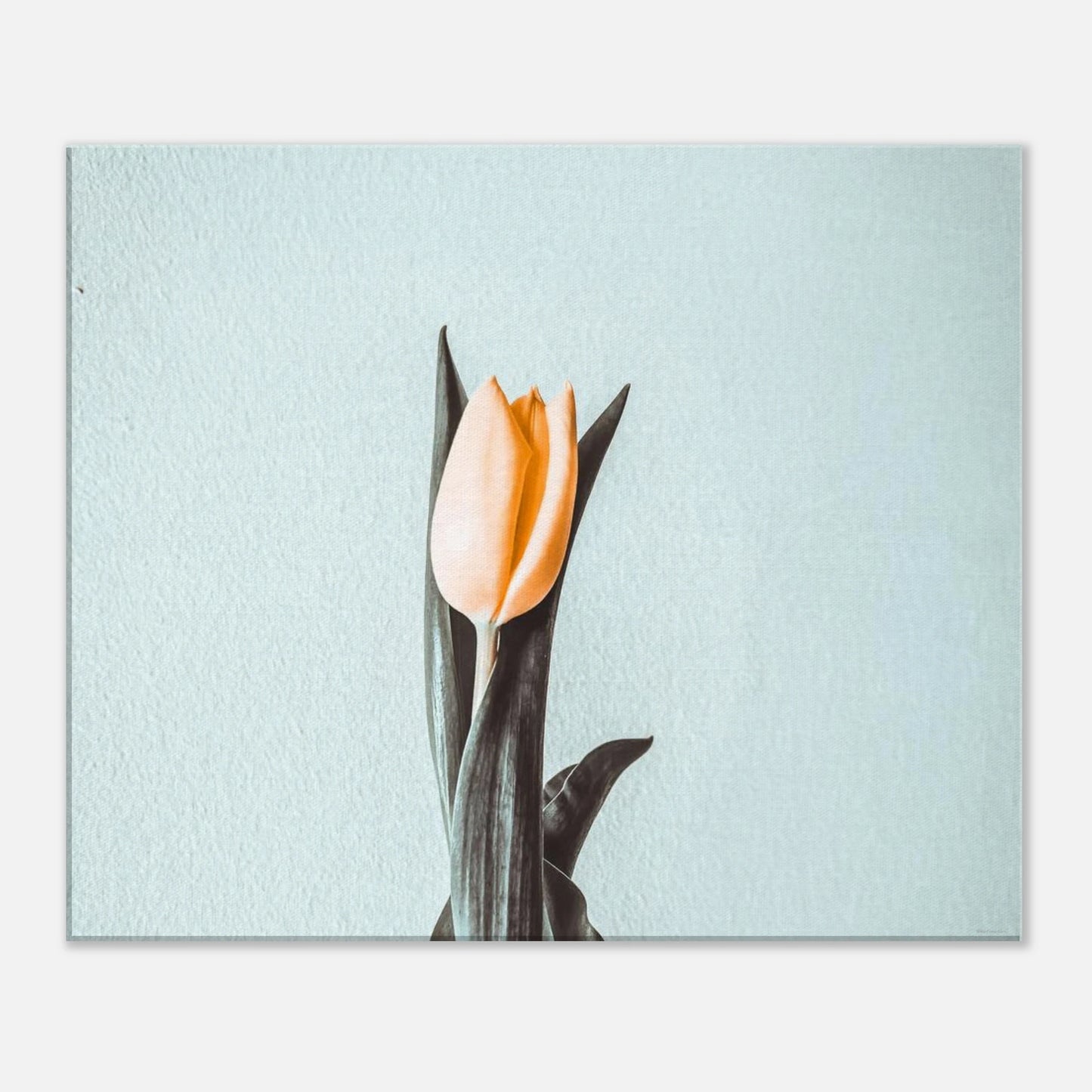 05188710-0fbd-4091-b128-1aa8006d3453