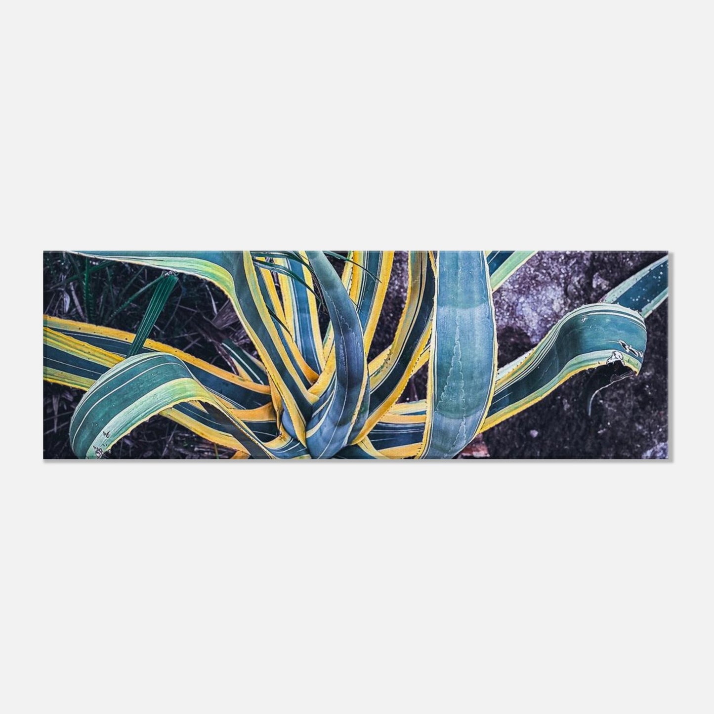 051c9e3b-63ec-453f-8748-edda26b63143