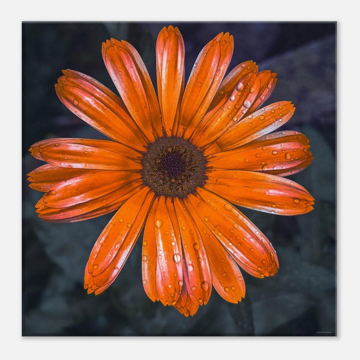 052a5bfb-28bd-4044-8177-c13dab9a9ac7