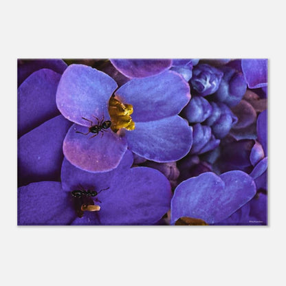 0539d8c8-58dc-41c5-8a4e-ca94d05c6b64