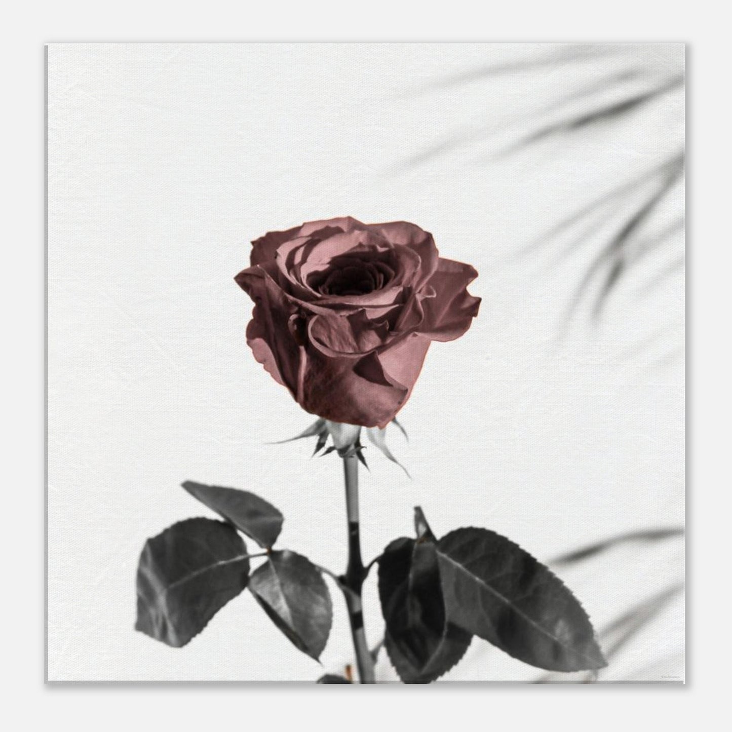 05511dca-38ad-4a12-8973-7e342e39a182