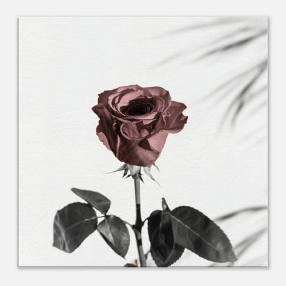 05511dca-38ad-4a12-8973-7e342e39a182