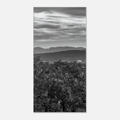 05a2e610-fac3-4854-ac5b-ae1ee6ec055e