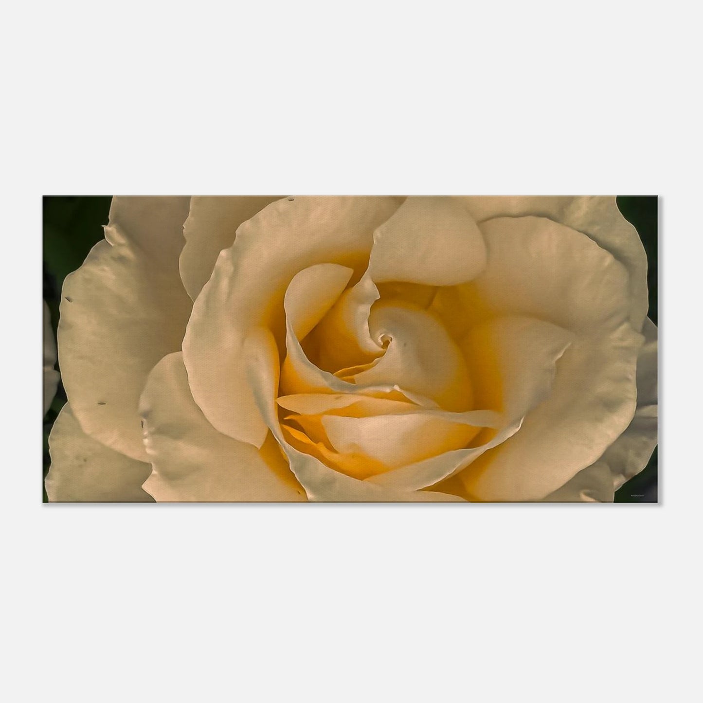 05ac1de3-c023-44b3-97d8-748a25b37d19