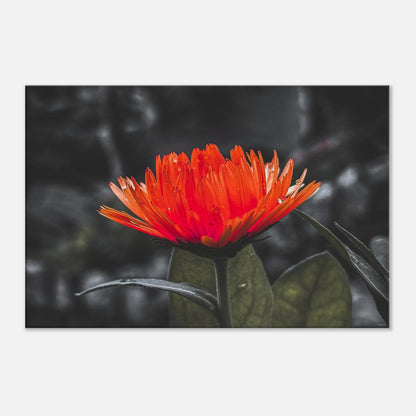 062eeb10-c1a0-4438-a658-a2772c5755a5