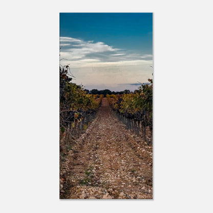 063f920c-ea15-4026-a716-fcf6dc368f07