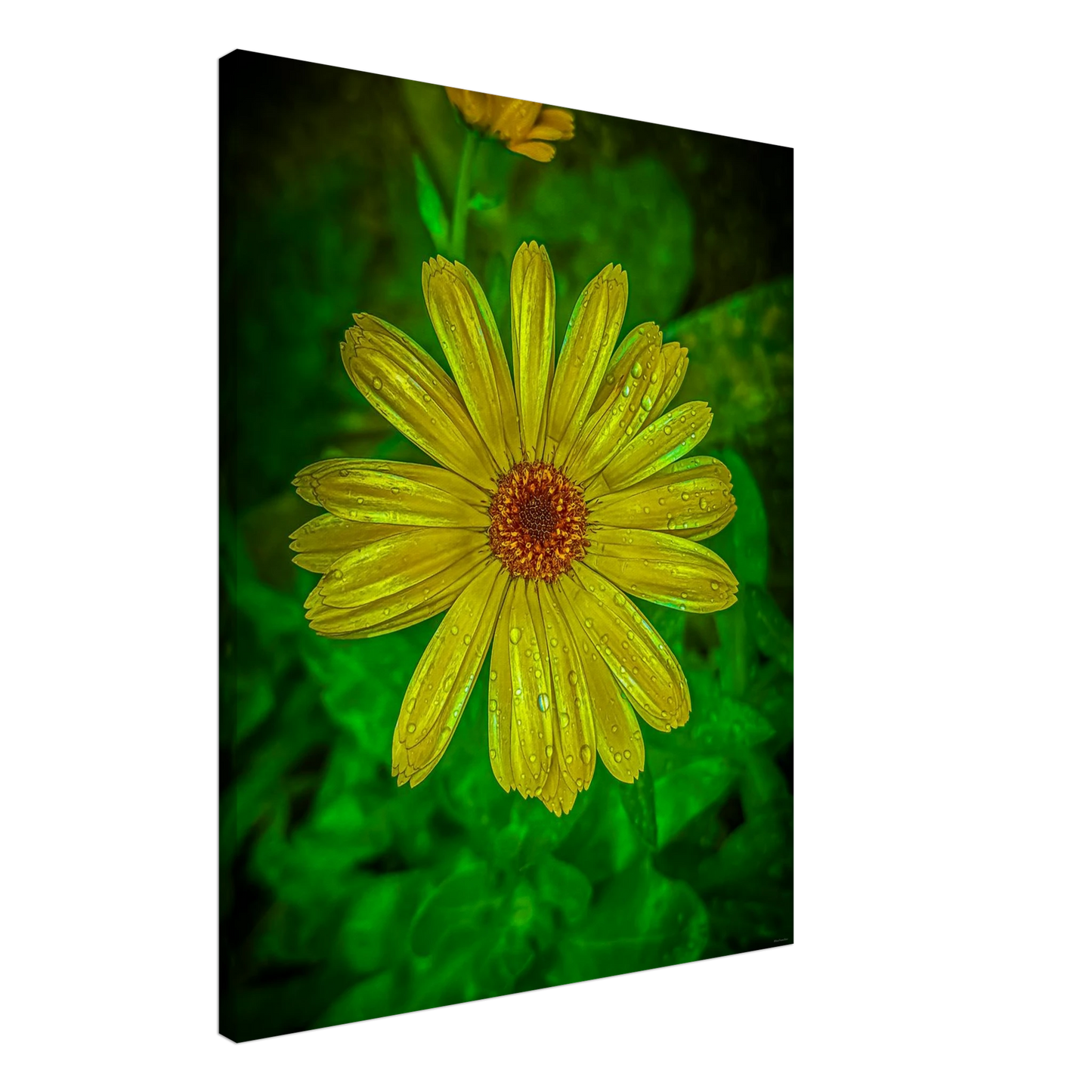 066447ad-9ee9-4b8b-8dd7-648ce3483177