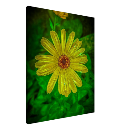 066447ad-9ee9-4b8b-8dd7-648ce3483177