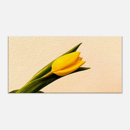 06950411-b7b4-4d9f-a83d-709c1ac4b2f1