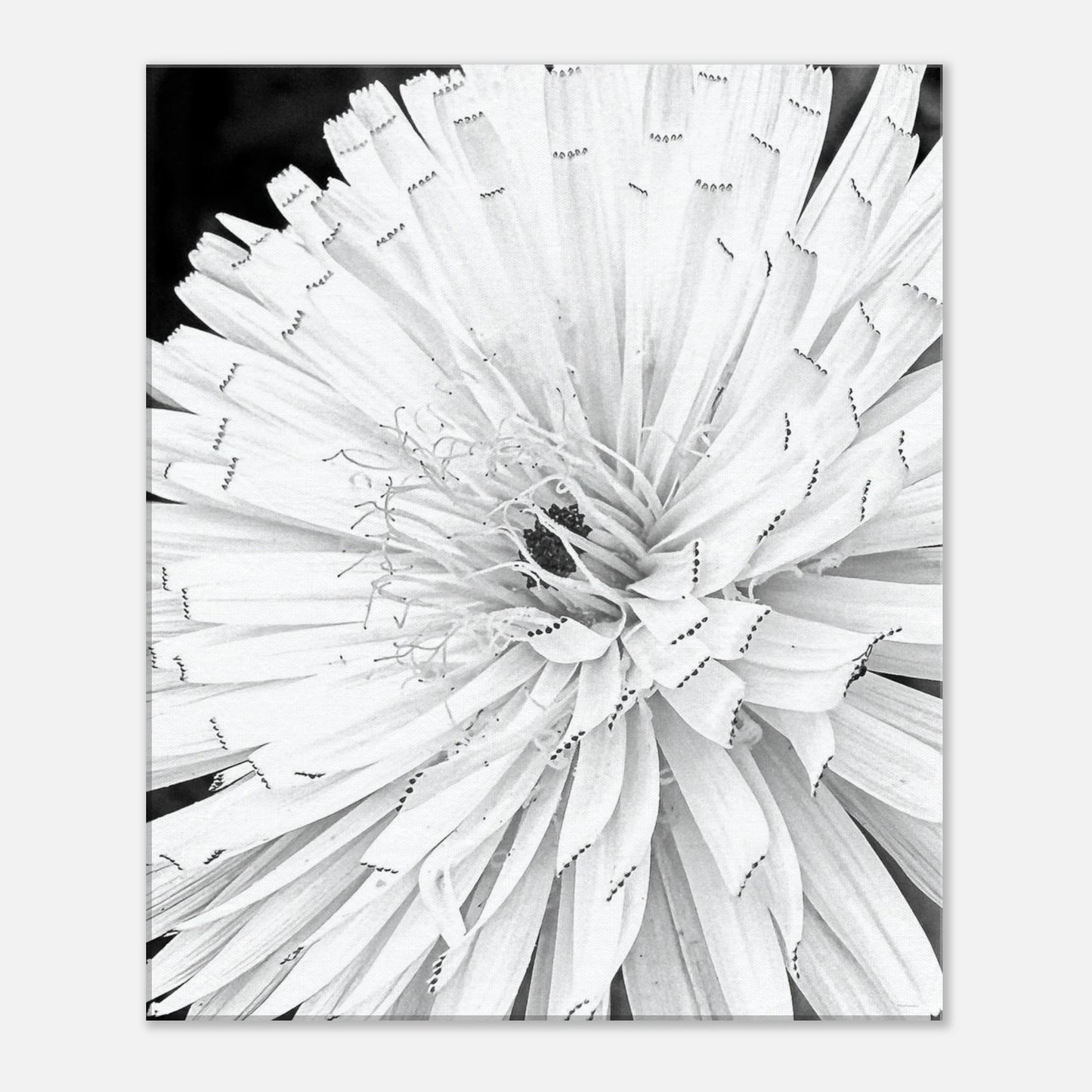 06b72d1e-3e5e-4f3b-8aad-b3939c9d4ed2