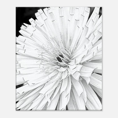 06b72d1e-3e5e-4f3b-8aad-b3939c9d4ed2