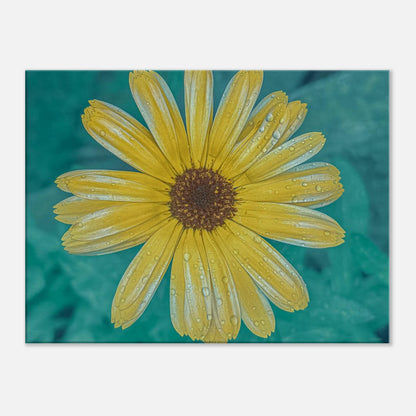 06d908c9-3d9a-4b1c-9943-365cc5d214d0