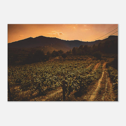 06f11a4a-1411-4ac9-a3fd-d1bdfbc6034b