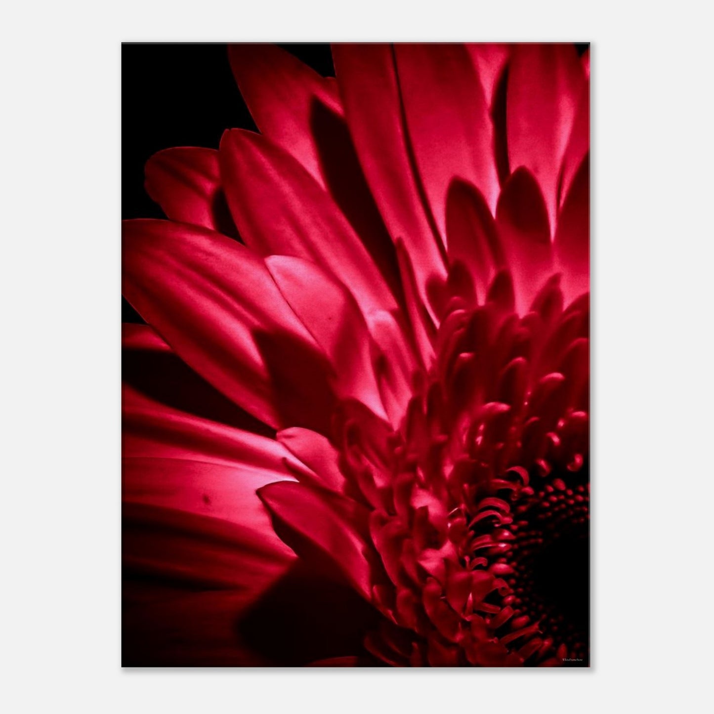 0702707d-2994-493a-9e40-54f6ec2c9a7a