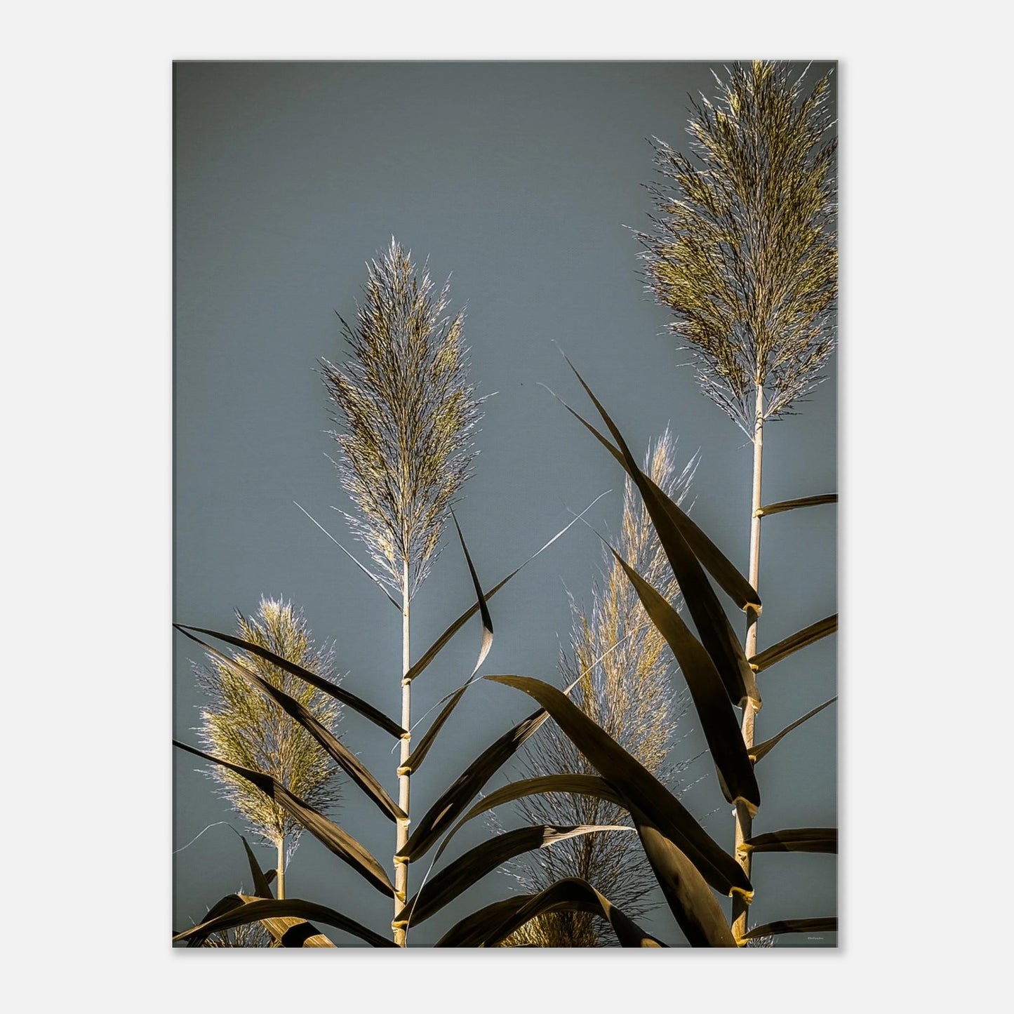 07241a1b-f91f-40be-8d01-4ef7e666d429