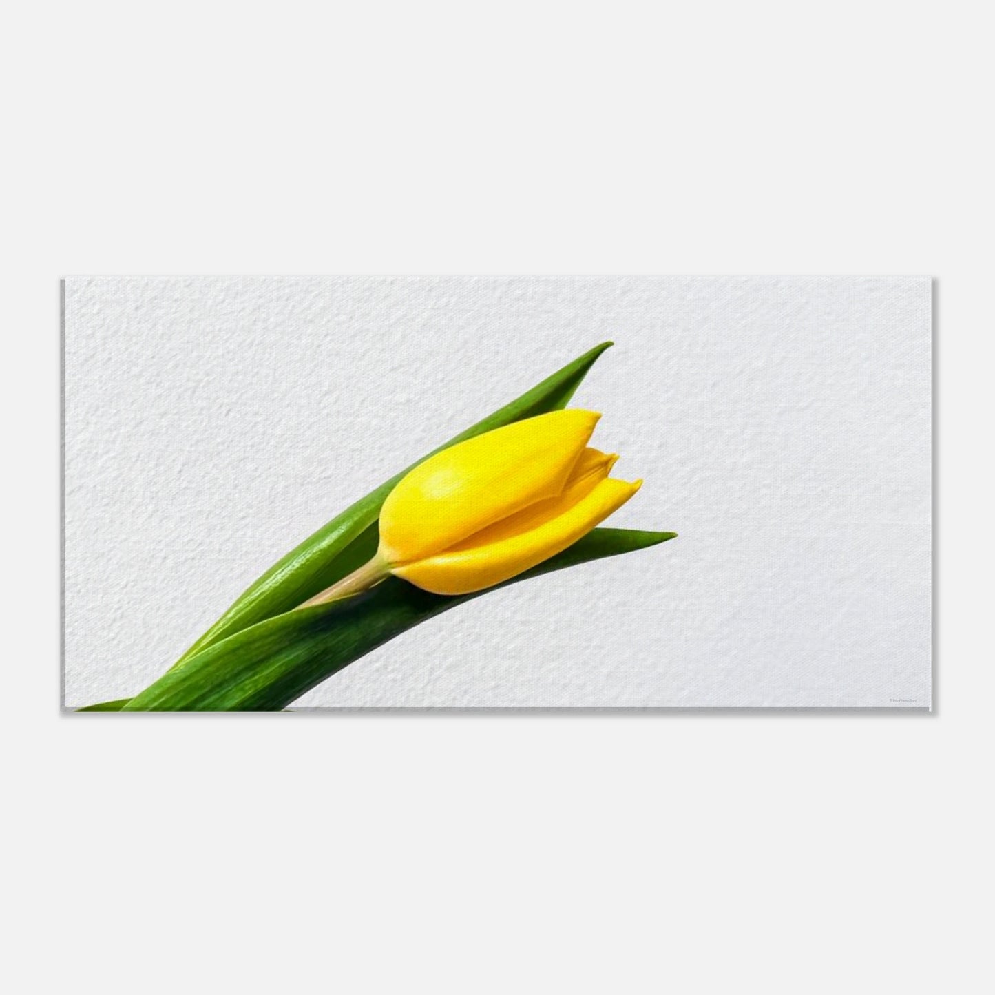 0732c2ce-b079-4b8c-bf9e-d97ebcd4b43e