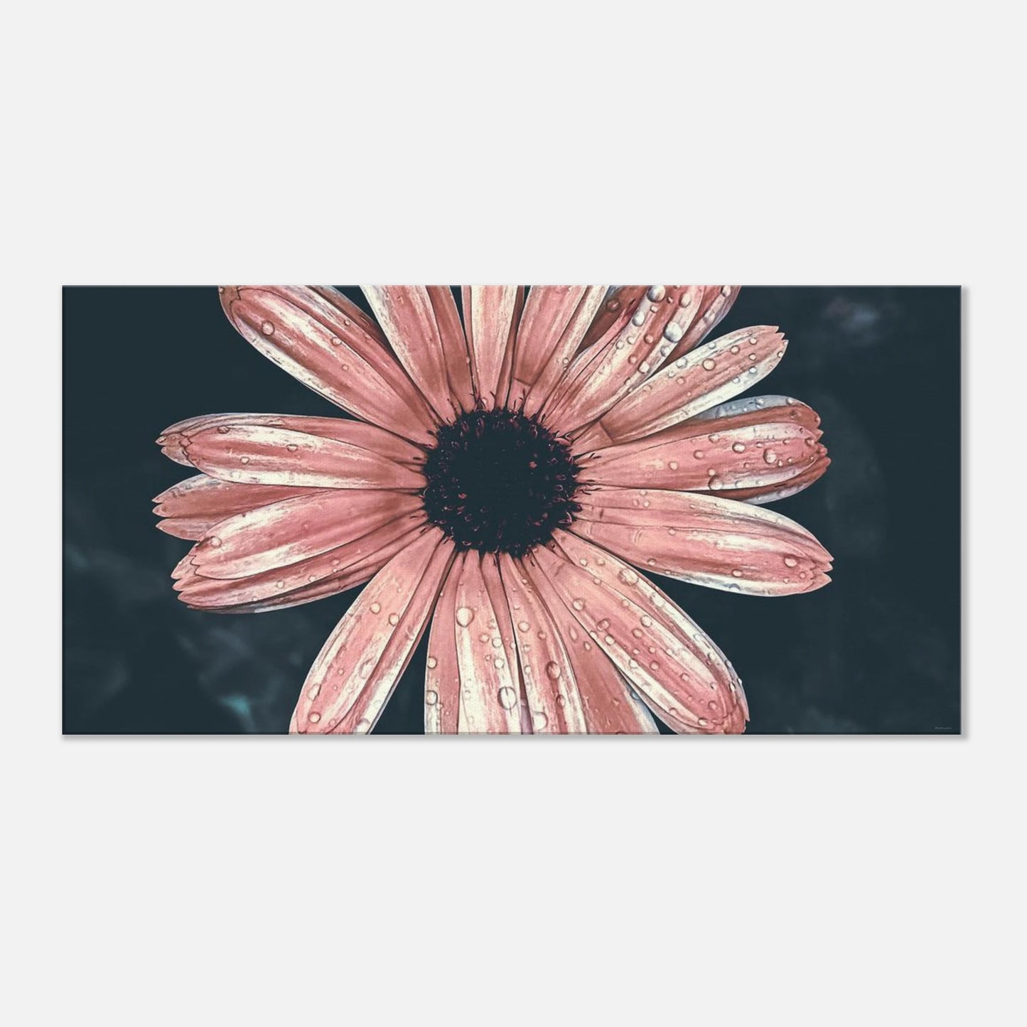 073c2cc3-1b56-4e9b-b73b-ad1256763614