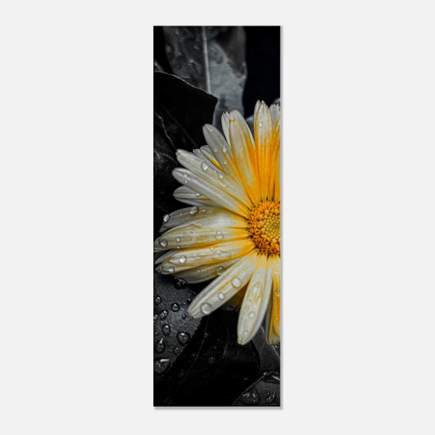 0748bfd7-ee80-4175-a992-4caa3c97da8c