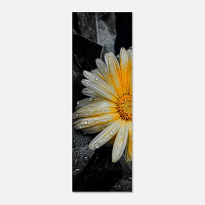 0748bfd7-ee80-4175-a992-4caa3c97da8c