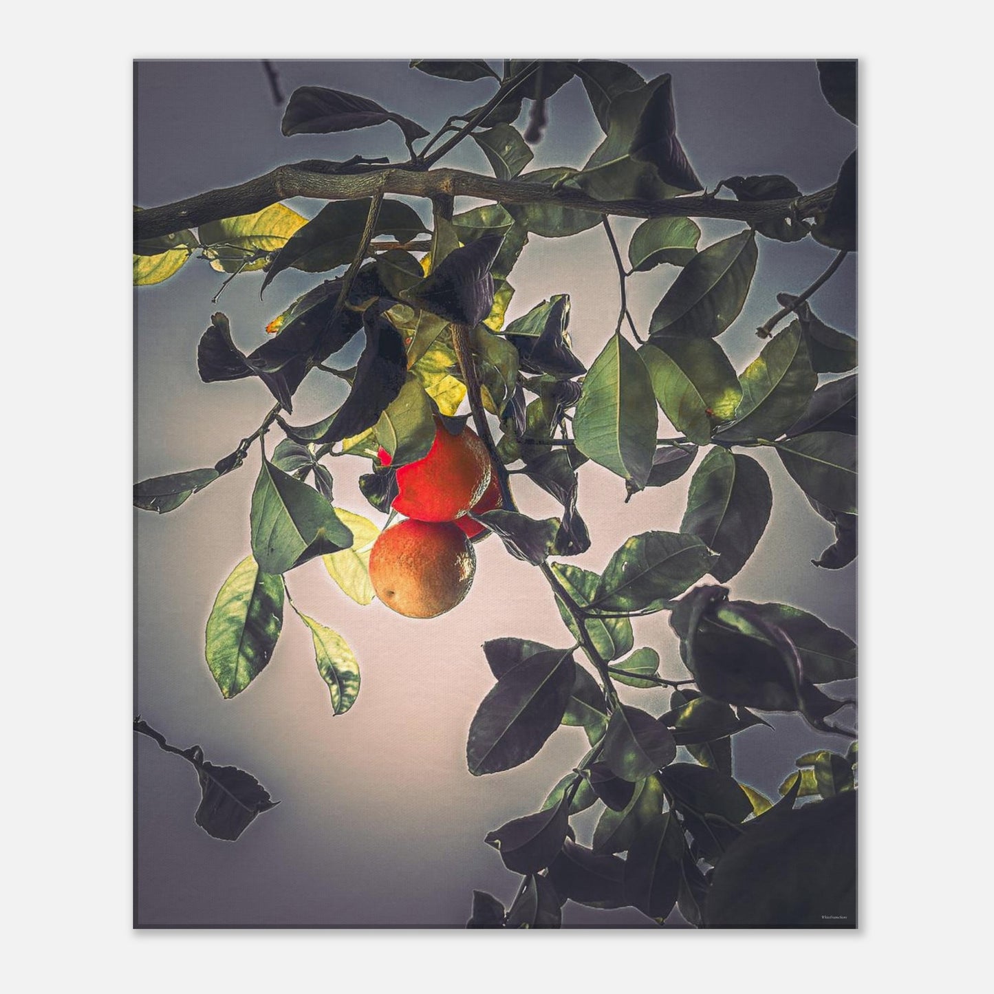 07588c12-e4ef-44b1-ae65-a3c84ae09d51