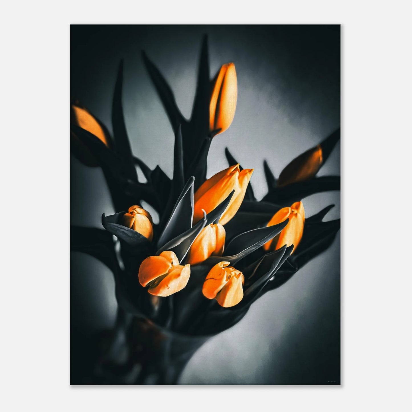 076075e3-f762-44d1-a2e3-7464ff7ae1dd