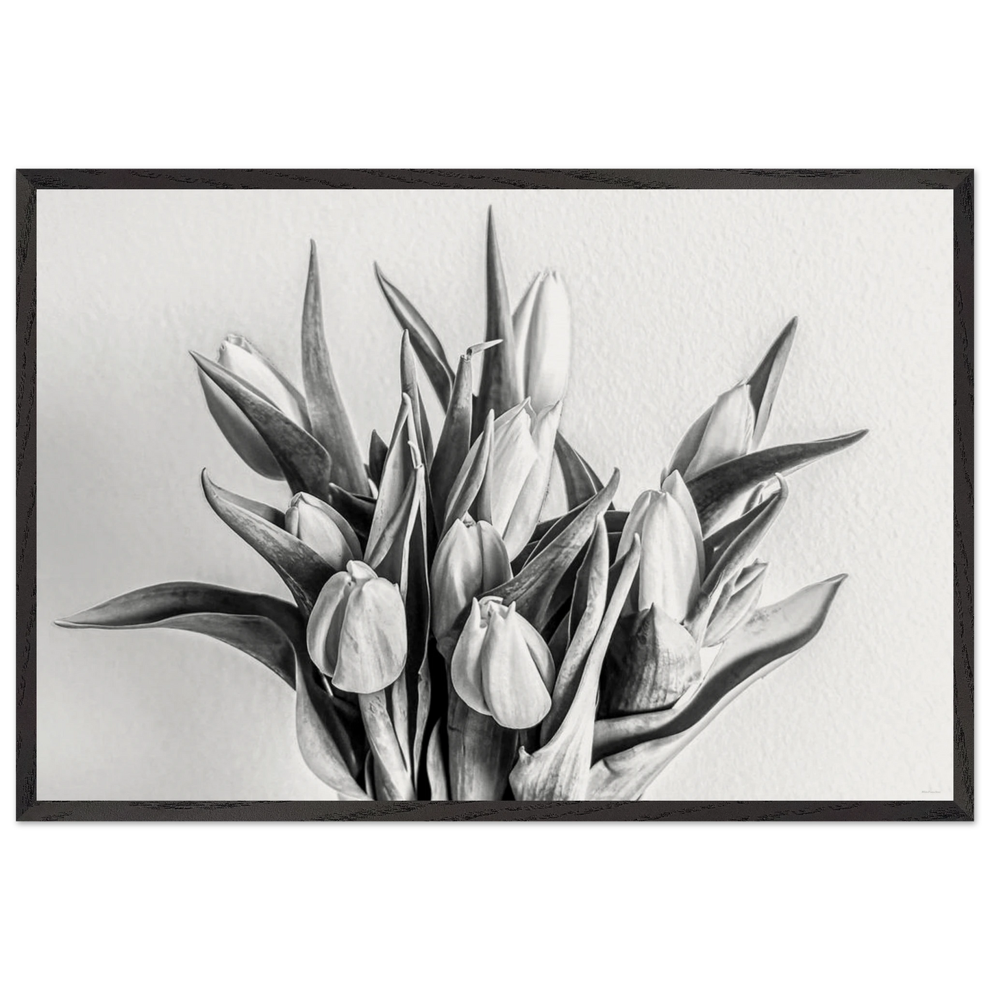 077246b6-1b22-4695-ba95-91c6d8e78876