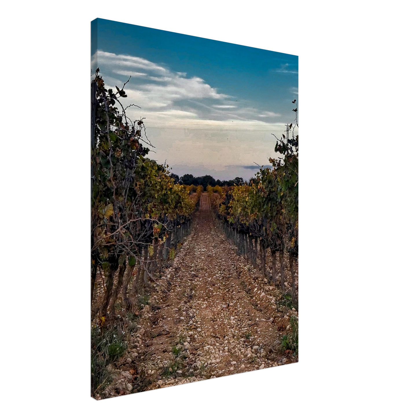 07847afb-f2a9-4d68-be86-2ad2452eade3